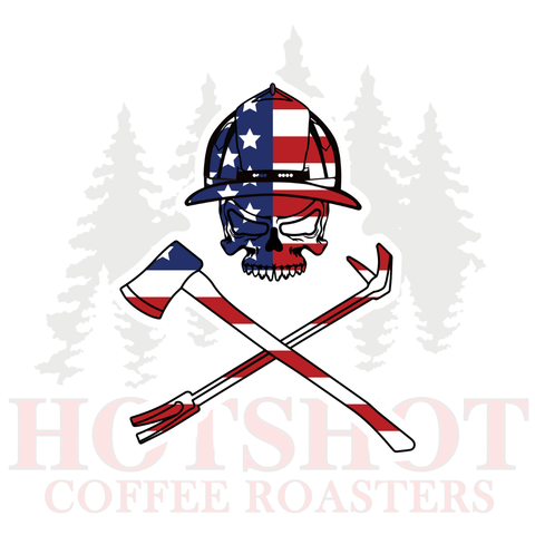 AMERICA IRONS- STICKER