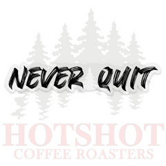 NEVER QUIT- STICKER