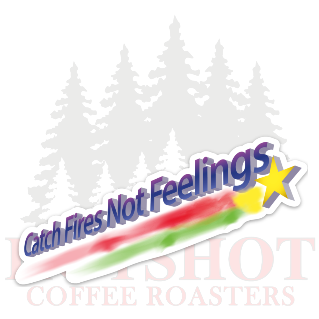 CATCH FIRES NOT FEELINGS - STICKER