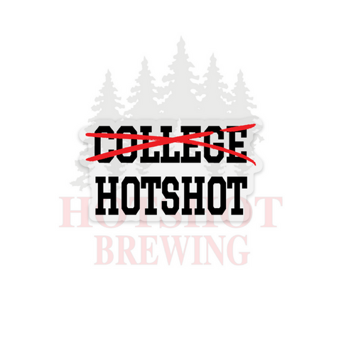 F*CK COLLEGE/I BECAME A HOTSHOT - STICKER