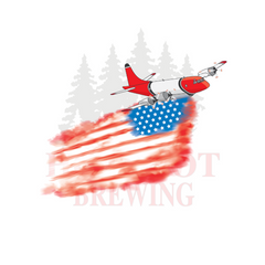AMERICAN PLANE - STICKER